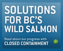 Solutions for BC's wild salmon - See our closed 
containment review